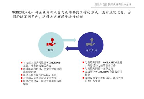 新組織設(shè)計(jì)教練式咨詢服務(wù)介紹