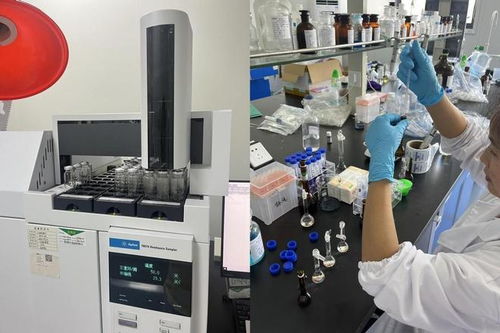 醫(yī)療器械NMPA注冊咨詢與軟件開發(fā)服務(wù)