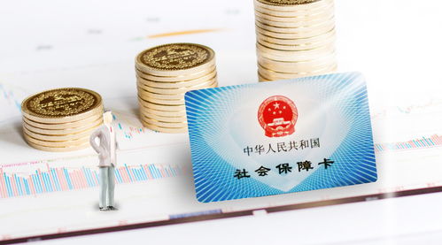 軟件開發(fā)人員公司職工社會保險(xiǎn)年度費(fèi)用分析